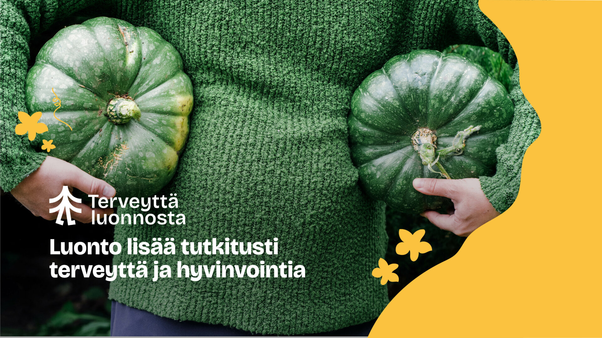 Henikö jolla on vihreä villapaita pitelee molemissa käsissään yhtä kurpitsaa jotka ovat melko saman väriset paidan kanssa. Kuvassa lukee teksti "luonto lisää tutkitusti terveyttä ja hyvinvointia".